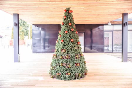 Brad artificial pentru exterior din fibra de sticla - Terra Christmas [5]