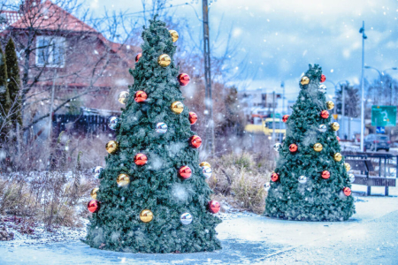 Brad artificial pentru exterior din fibra de sticla - Terra Christmas [4]