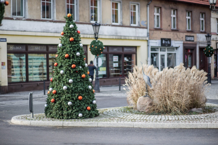 Brad artificial pentru exterior din fibra de sticla - Terra Christmas [6]