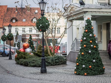 Brad artificial pentru exterior din fibra de sticla - Terra Christmas [7]