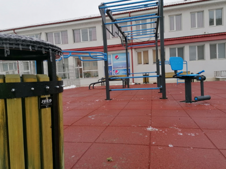 Teren sport Universitatea Vasile Alecsandri Bacau, BC [26]