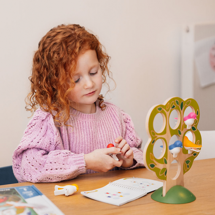 Joc de logica, 5 Little birds, Smart Games [2]