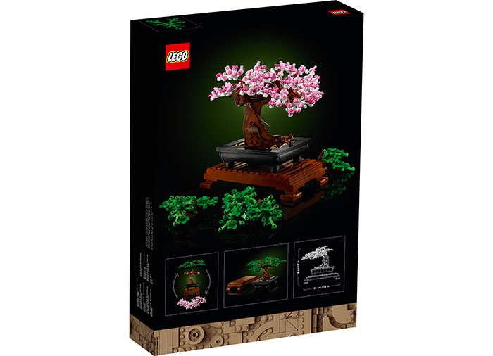 Bonsai [3]