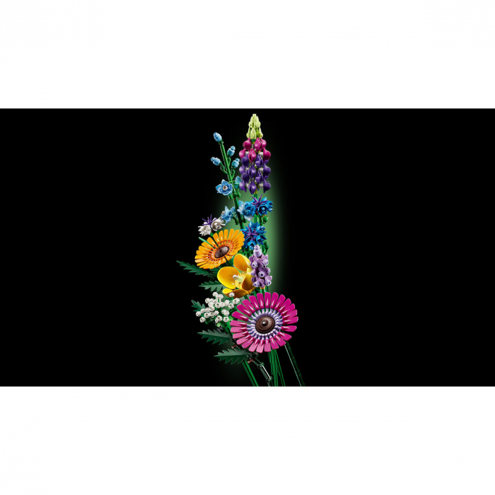 Buchet de flori de camp [3]