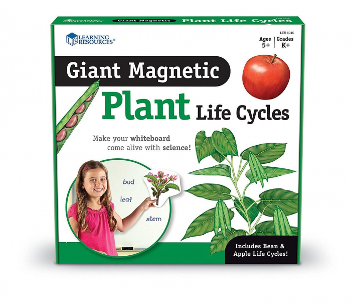 Ciclul vietii plantei - set magnetic [4]
