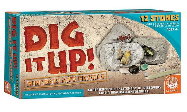 Dig It Up! Fossils & Minerals [1]