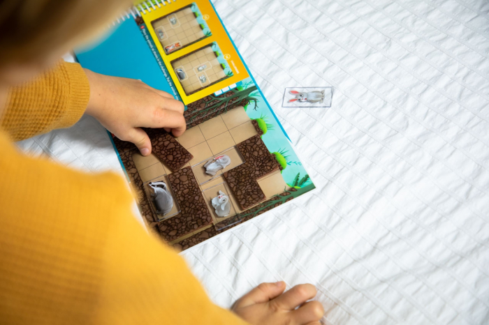 Down the rabbit hole, Smart Games [5]