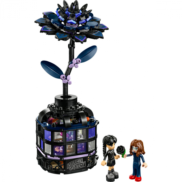 Floare de dalie neagra [7]