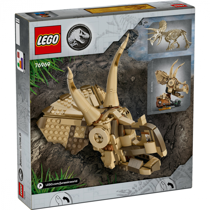  Fosile de dinozaur: craniu de Triceratops [3]