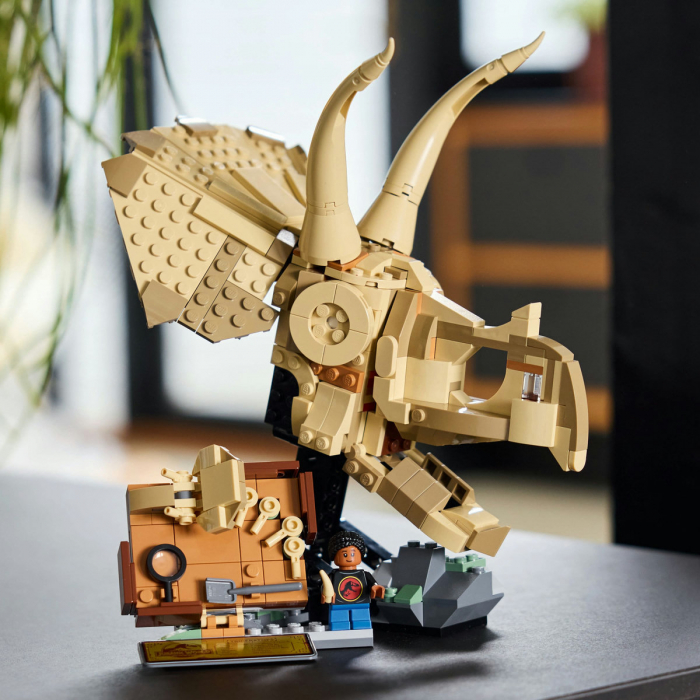  Fosile de dinozaur: craniu de Triceratops [4]