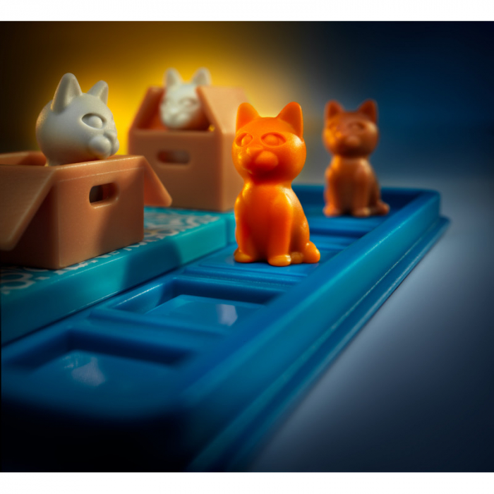 Joc de logica Cats and boxes [6]