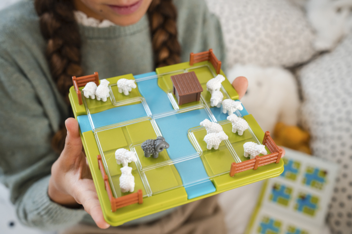 Joc de logica cu 60 de provocari, Counting Sheep, editie internationala [2]