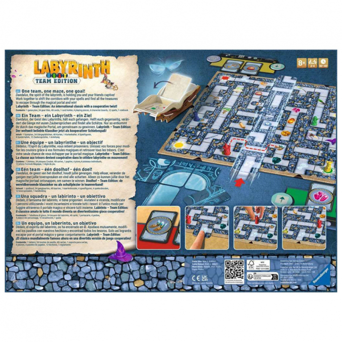 Joc de societate tip labirint, Labyrinth Team Edition [3]