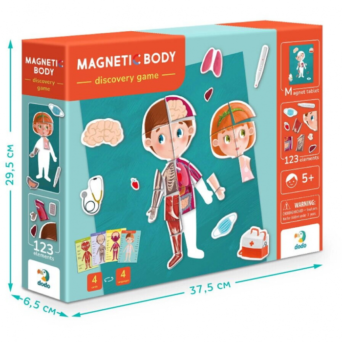 Joc magnetic - Descopera corpul uman [3]