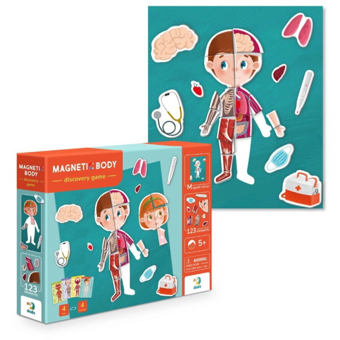 Joc magnetic - Descopera corpul uman [2]