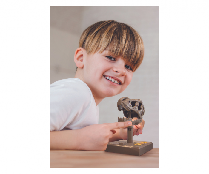 Jucarie Craniu de T-Rex cu sunete KidzLabs [2]