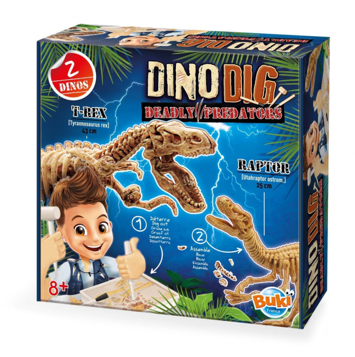 Kit de sapat - Dinozaur [1]