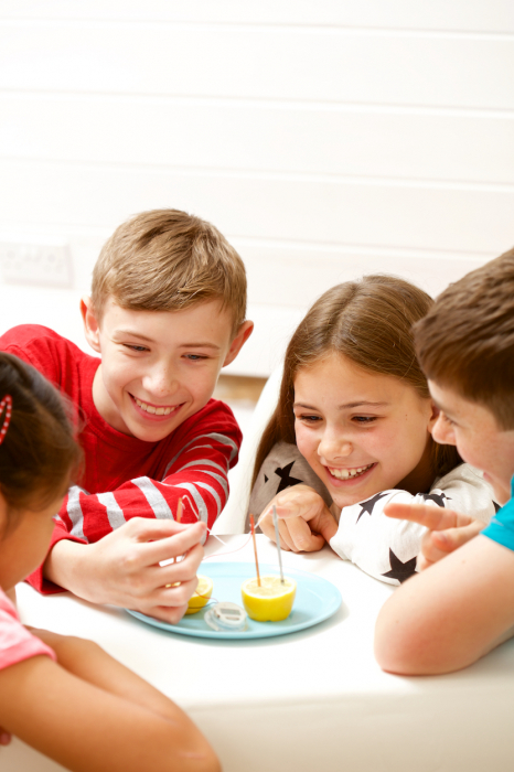 Kit stiintific - Stiinta din bucatarie, STEAM Kids [6]