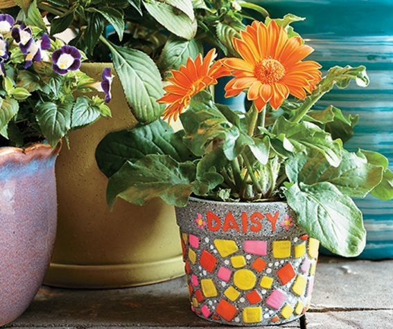 Paint your own stone mosaic flower pot,  decorațiuni pentru pictat, din piatră, pentru grădină [2]