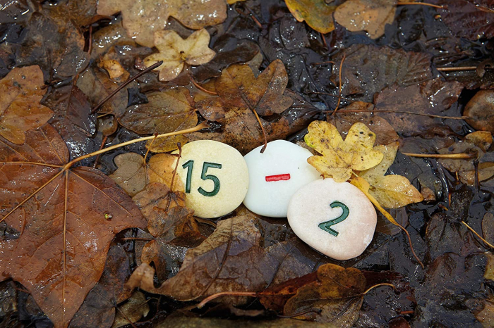 Pietricele cu numere - Set Matematica [8]
