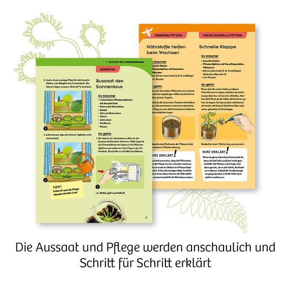 Plante carnivore, Experimente pentru copii [5]