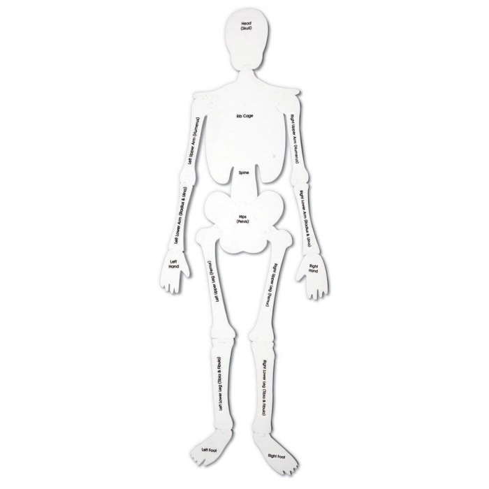 Puzzle de podea - Schelet [4]