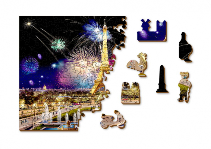 Puzzle din lemn, Parisul noaptea, 505 piese [3]