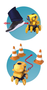 Robotul Tibo [3]