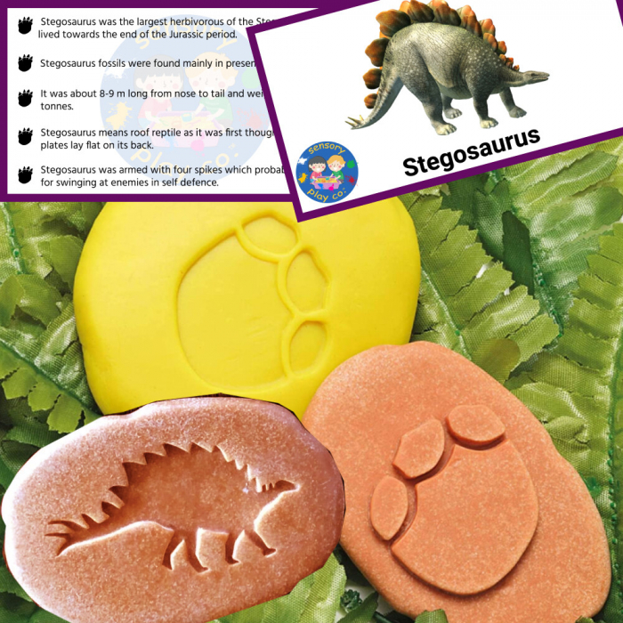 Sa investigam! - Urme dinozauri [6]