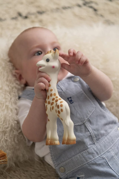 Set Aniversar Girafa Sophie Salvați Girafele [6]