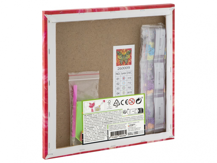 Set creativ cu strasuri, Diamond paint, Canvas Fluture [3]