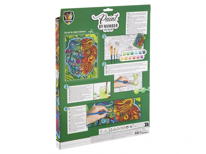 Set creativ, Picteaza pe numere, Canvas Leu, Grafix [2]