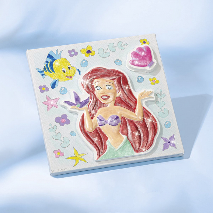 Set creativ pictura 3D Disney Princess [5]