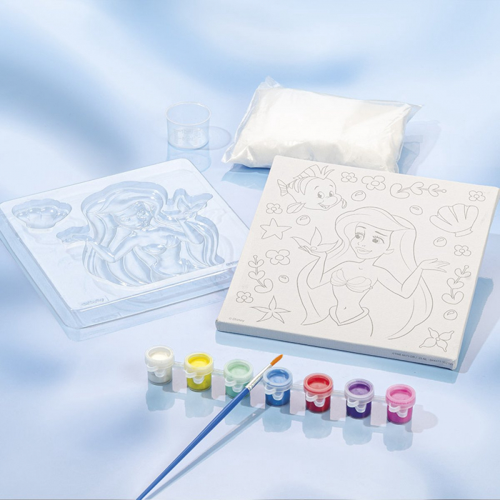 Set creativ pictura 3D Disney Princess [10]