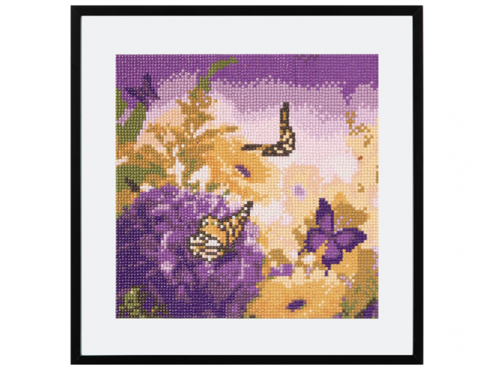 Set creativ pictura cu diamante, Diamond painting, Fluturi, Craft Sensations [3]
