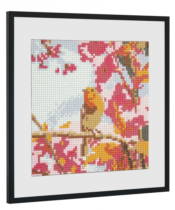 Set creativ pictura cu diamante, Diamond painting, pasari, Craft Sensations [3]