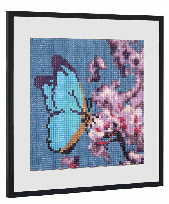 Set creativ pictura cu diamante, Diamond painting, FluturI, Craft Sensations [3]