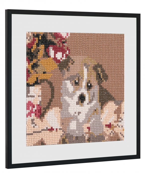 Set creativ pictura cu diamante, Diamond painting, catel, Craft Sensations [3]