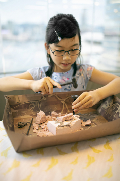Set educativ Sapa si descopera Dinozauri - Velociraptor [5]