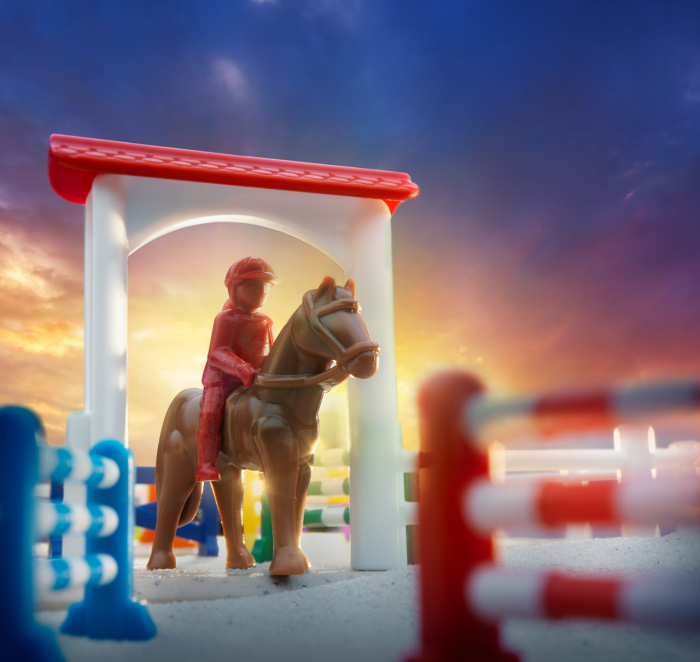 Horse academy [7]
