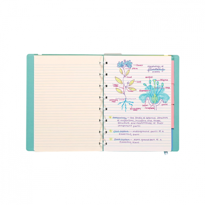 Stilouri duble 2 in 1 cu marker, Writer's Duo - set de 3 [4]