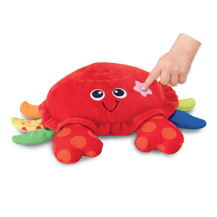 WINFUN JUCARIE CRABUL DANSATOR [4]