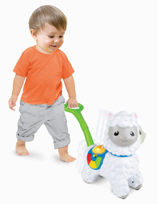 WINFUN JUCARIE DE IMPINS ALPACA [3]