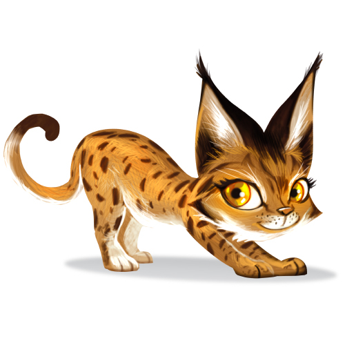 zoo run [5]