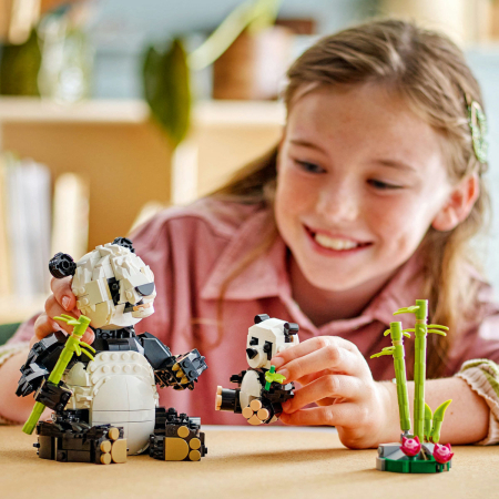 Animale salbatice: Familia de ursi panda [6]