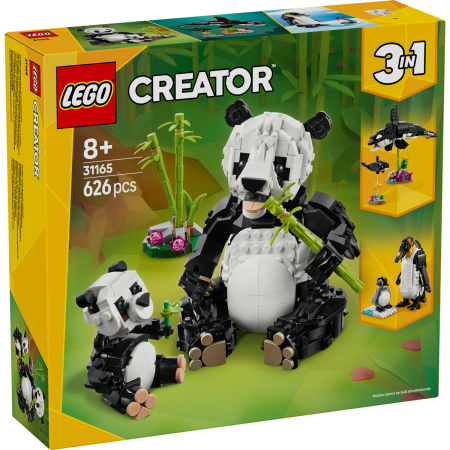 Animale salbatice: Familia de ursi panda [1]