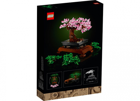 Bonsai [2]