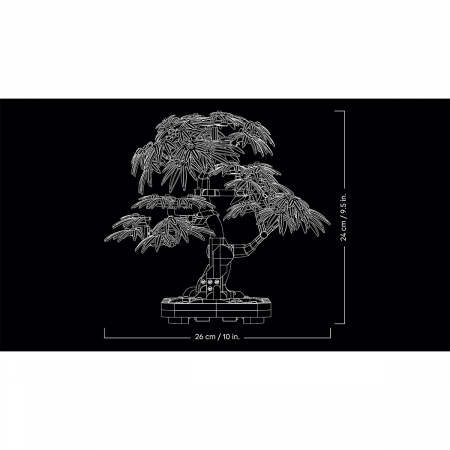 Bonsai de artar japonez rosu [8]