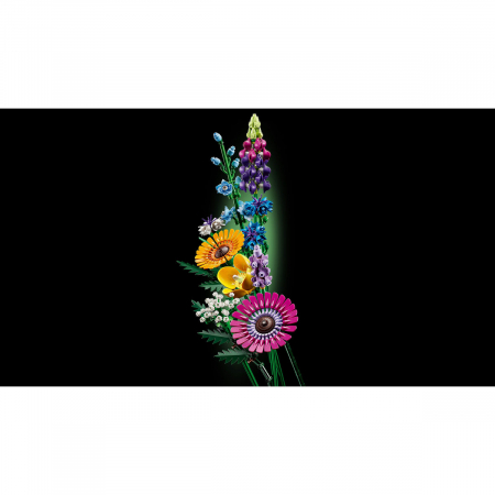 Buchet de flori de camp [2]