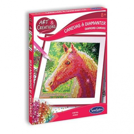 Jucării copii 10+ - Canvas cu diamante - Cal